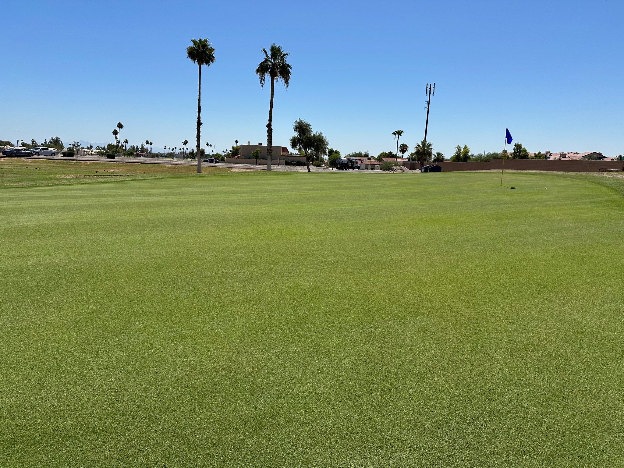 The Lakes Golf Club green green